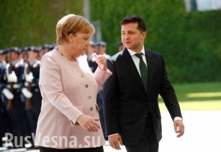 Зеленский обсудил с Меркель «всё на свете»