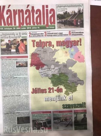 «Венгр, вставай!» — на Закарпатье новый скандал из-за сепаратистов (ФОТО)