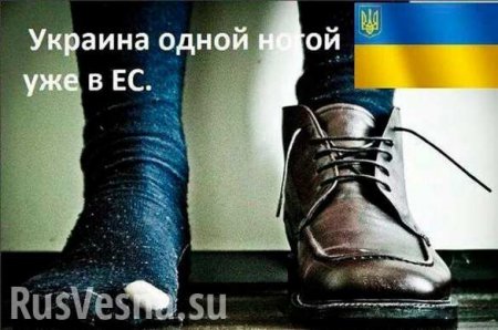 «Украина больше не верит в Евросоюз»: страна бьётся в истерике перед выборами (ВИДЕО)