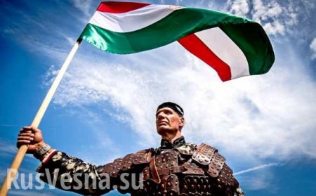 Украина бьёт тревогу: Венгрия хочет создать анклав в Закарпатье