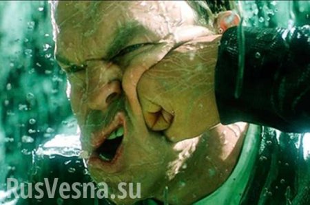 «Россия с нами не воюет!» — боевику «АТО» дали по зубам в Бердичеве (ВИДЕО)