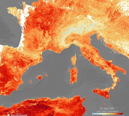 Аномальная жара в Европе бьёт все рекорды и угрожает обрушить сгоревший Нотр-Дам (ФОТО, ВИДЕО)