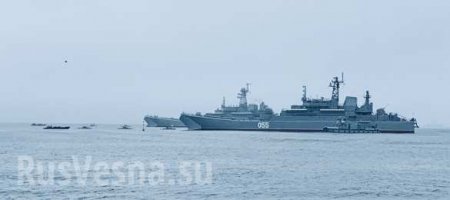 Россия празднует День ВМФ: парад уже прошёл во Владивостоке (ФОТО, ВИДЕО)