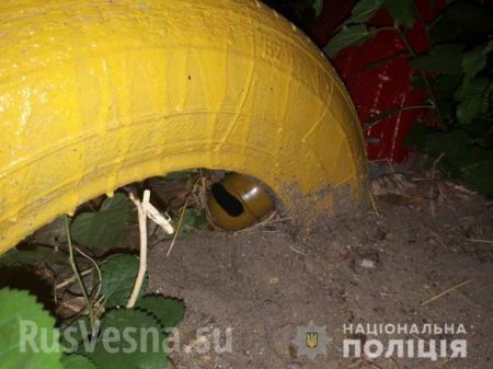 Украинец спрятал гранату на детской площадке в Николаеве (ФОТО)