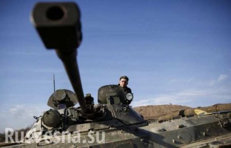 Вечные враги ВСУ мешают карателям побеждать на Донбассе (ВИДЕО)