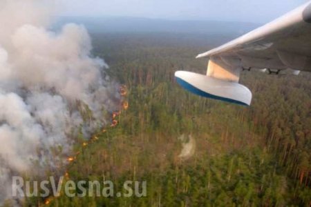 Сибирь: горит 3 млн гектаров леса, дым дошёл до Монголии (ФОТО, ВИДЕО)
