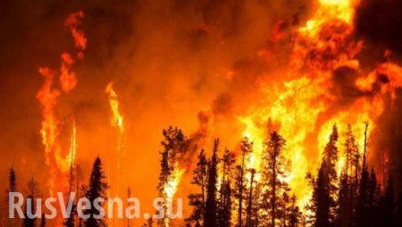 Сибирь в огне: Медведев провёл совещание по борьбе с лесными пожарами