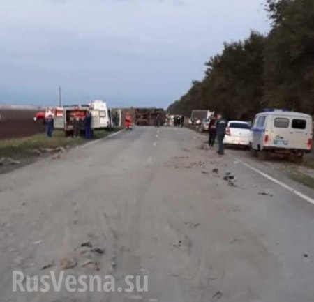 Ставрополье: Страшное ДТП с участием автобуса унесло жизни 5 человек (ФОТО, ВИДЕО)