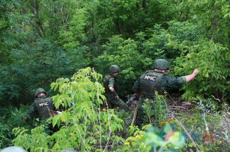 Неразорвавшиеся боеприпасы и минные заграждения: переход у Станицы Луганской будут перекрывать (ФОТО)