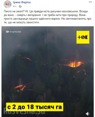 «Не надо ныть о природе. Это месть дикарям московским», — Фарион радуется лесным пожарам в Сибири (ФОТО)