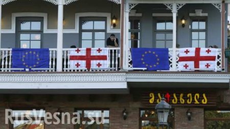 В Грузии заявили, что «российская пропаганда» мешает евроинтеграции страны