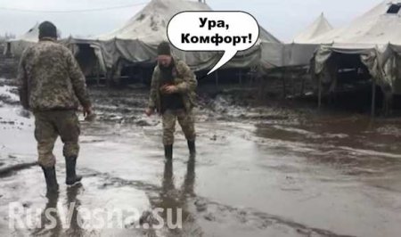 Украинских оккупантов залило на передовой (ВИДЕО)