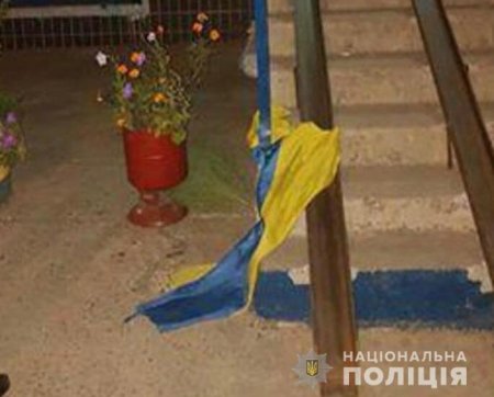 На родине Зеленского мужчину посадили за флаг Украины, брошенный на землю (ФОТО)
