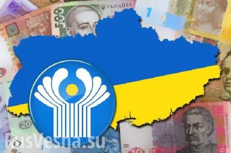 МИД: Украина задолжала СНГ более 300 млн рублей