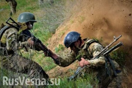 ВСУ убили безоружного бойца Армии ДНР — экстренное сообщение с Донбасса