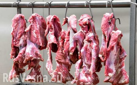 Человечество для выживания должно отказаться от мяса, — ООН