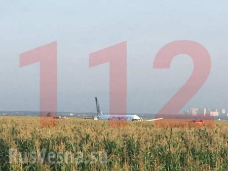СРОЧНО: Летевший в Крым авиалайнер совершил жёсткую посадку в поле под Москвой — подробности (ФОТО, ВИДЕО)
