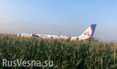 Момент столкновения A321 с птицами и аварийная посадка в поле — кадры из салона (ВИДЕО)