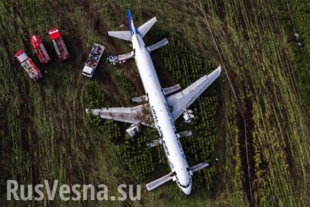 Чудо в Жуковском: как пилотам удалось избежать катастрофы (ВИДЕО)