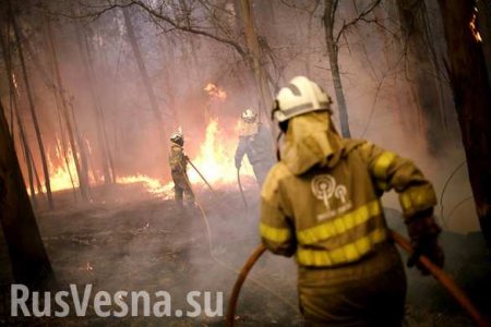 Страшные пожары на Канарах: эвакуированы тысячи человек (ФОТО, ВИДЕО)