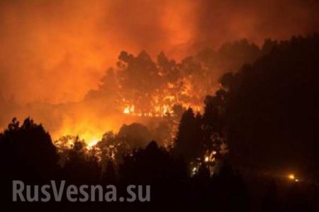 Страшные пожары на Канарах: эвакуированы тысячи человек (ФОТО, ВИДЕО)