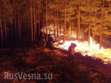 Страшные пожары на Канарах: эвакуированы тысячи человек (ФОТО, ВИДЕО)