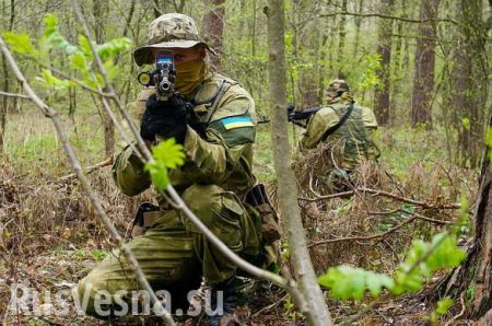 СРОЧНО: Спецгруппа ВСУ попыталась пройти через линию фронта в ДНР