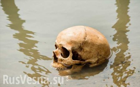 Сотни смертей от удара по затылку: Озеро скелетов ещё больше озадачило учёных (ФОТО)