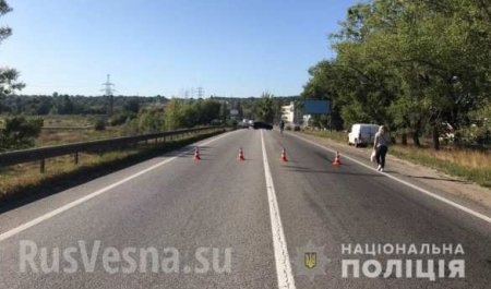 В Харькове обрушился автомобильный мост (ФОТО, ВИДЕО)