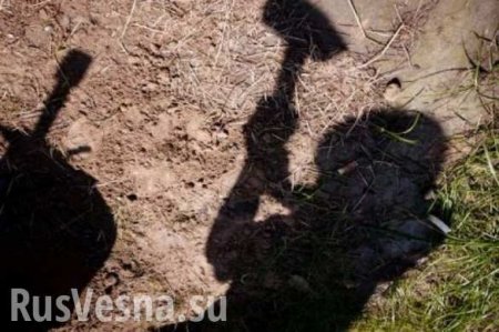 Под Ровно вандалы отбили голову бюсту советского разведчика (ФОТО)