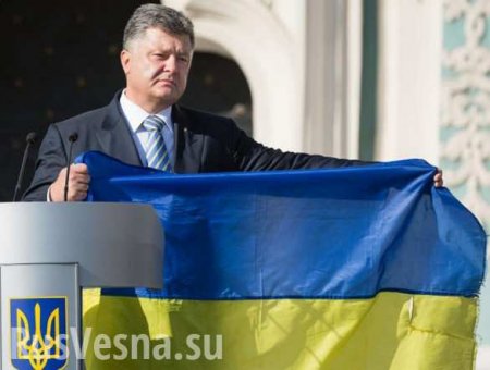 В Совфеде ответили на слова Порошенко об украинском флаге над Донецком