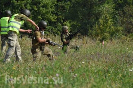 «Убивать оккупантов по новым методикам» — британские военные инструкторы обучают карателей (ФОТО)