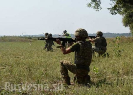 «Убивать оккупантов по новым методикам» — британские военные инструкторы обучают карателей (ФОТО)