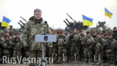 Украина в гневе: как сын Порошенко «воевал» на Донбассе