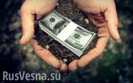 Украину охватят страшные процессы после земельной реформы