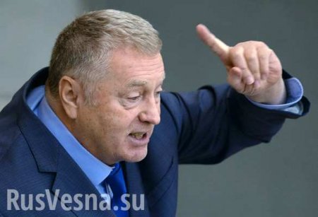 «Давно пора»: Жириновский назвал две страны, которые должны объединиться с Россией