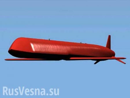 В России рассказали о ракете с «недостижимой дальностью» действия