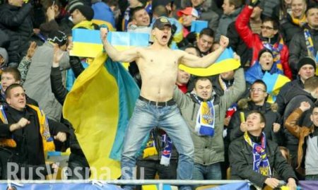 «Патрiоти» в ярости: на футбольном матче Лиги чемпионов замечен флаг ДНР (ФОТО)