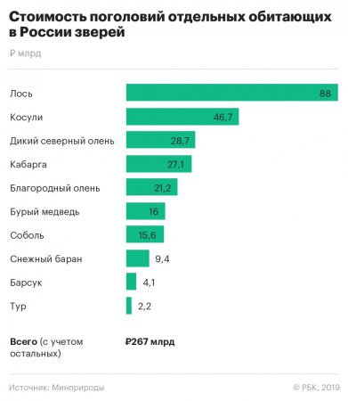 Российские звери подорожали в 400 раз (ИНФОГРАФИКА)