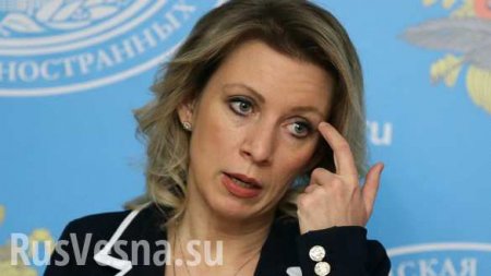 Захарова поставила на место эстонского министра за бред о «советской оккупации»