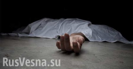 Загадочная смерть: в Таиланде нашли тело россиянина рядом с мёртвым питбулем