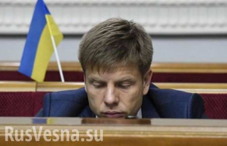 Скандальный нардеп Гончаренко намерен появиться на сессии ПАСЕ, несмотря на отказ Украины