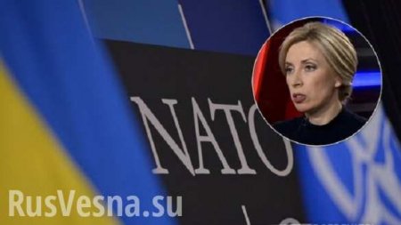 У Зеленского выступили против вступления Украины в НАТО