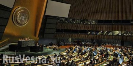 Часть российской делегации получила отказ в визе США и не сможет посетить Генассамблею ООН