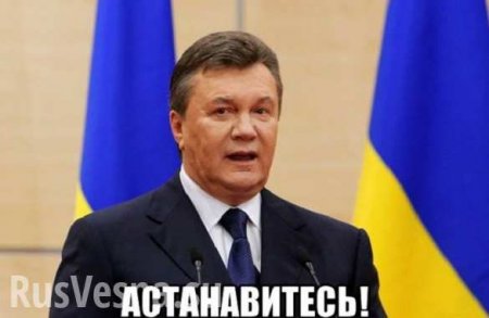 На Украине обещают поймать Януковича «в огороде в платье»