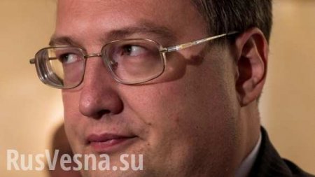 Лизоблюд и создатель «Миротворца» Антон Геращенко назначен замом Авакова