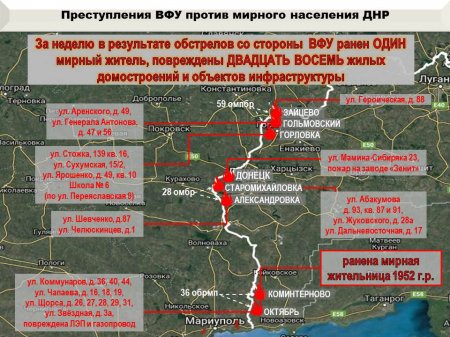 Потери ВСУ — 24 карателя: сводка о военной ситуации на Донбассе (ИНФОГРАФИКА)