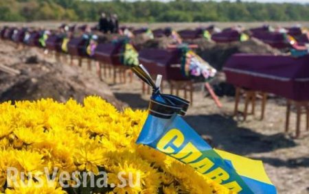 Пуля в лицо: на Донбассе уничтожен офицер нацгвардии Украины (ФОТО)