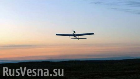 Украинцы Крыма посмеялись над «авианалётом дронов» на полуостров