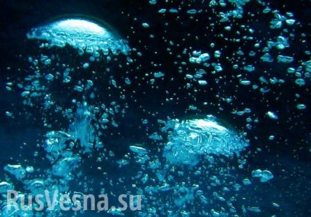 «Кипящая метановыми пузырьками вода» — российские учёные выявили в море рекордный выброс метана